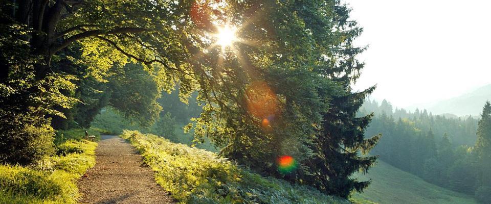 Landgasthof Kirchmayer Farchant Exteriér fotografie