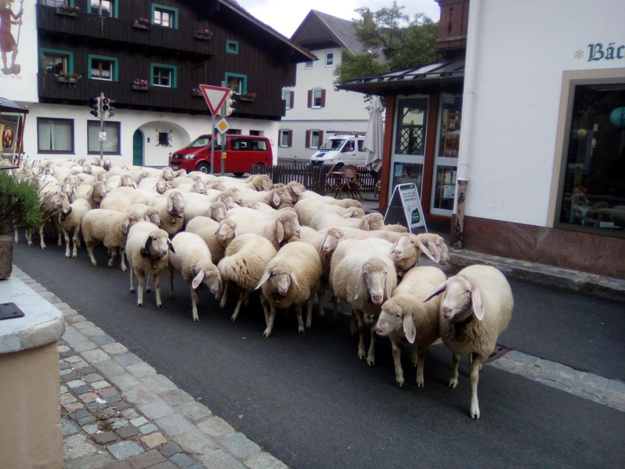 Landgasthof Kirchmayer Farchant Exteriér fotografie
